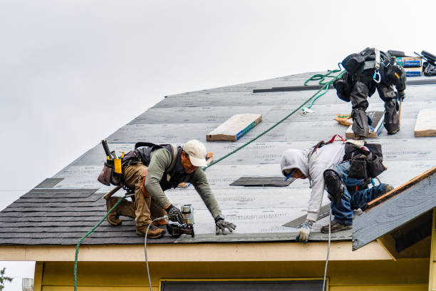 Professional Storm Damage Roof Repair technician working in Sandusky, MI